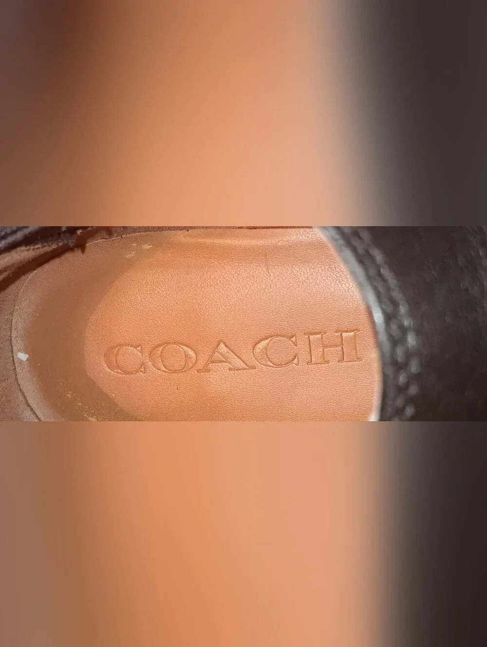 Women's Coach Ankle Boots